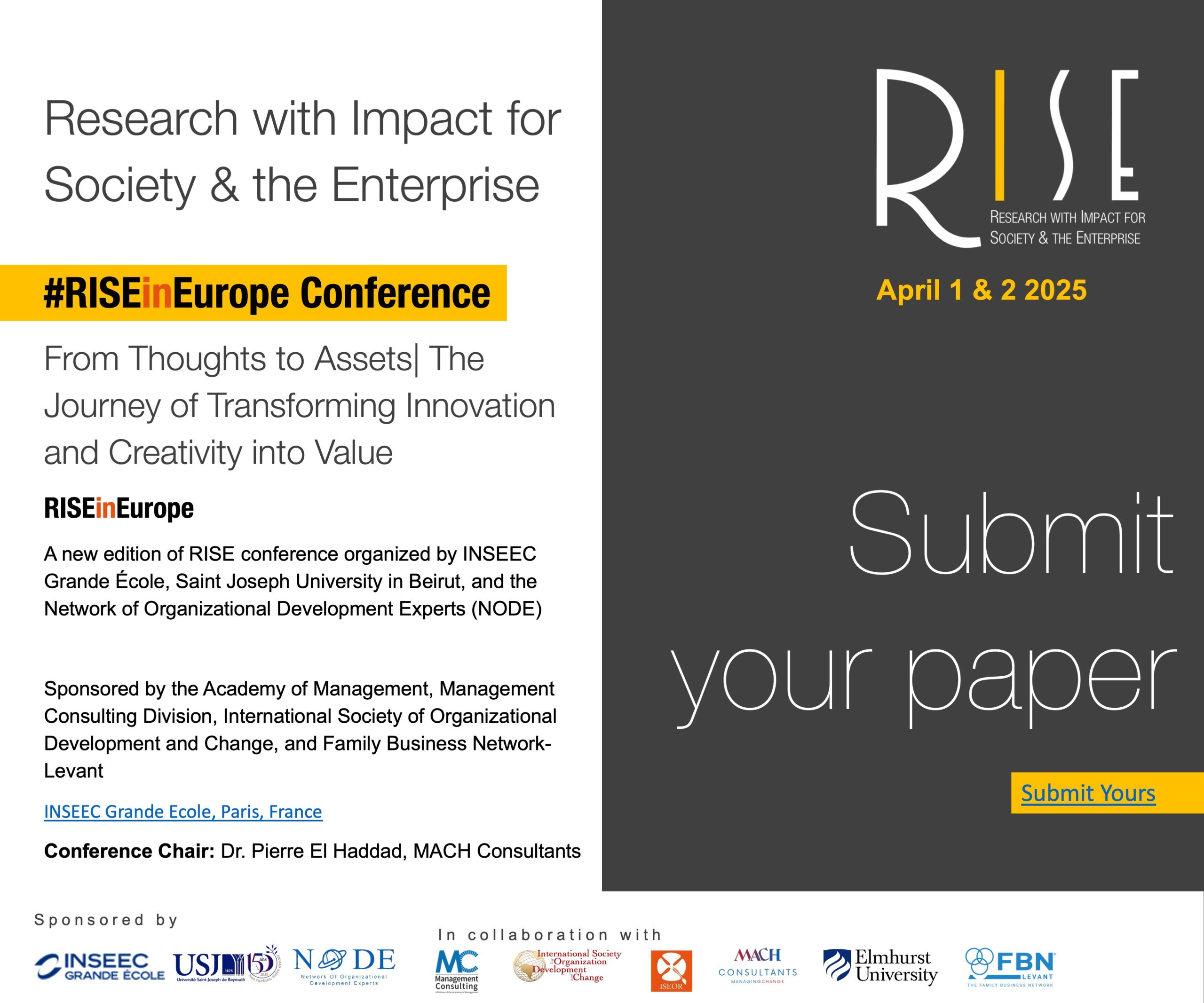 RISEinEUROPE_2024_Main theme_submit your article